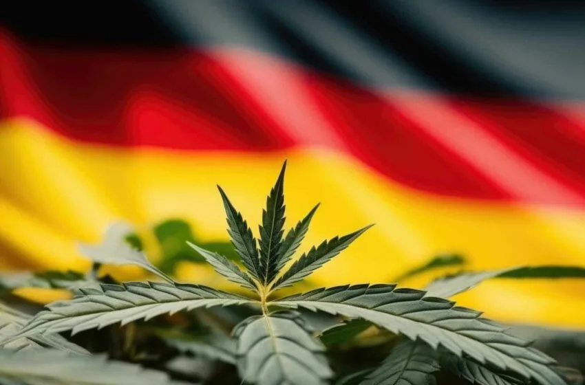 Marihuanos legalizavimas Vokietijoje